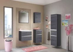 Spiegel Lotuk 60cm Met Verlichting - Grijze Eik -Songmics Winkel 027.1.3186 3 2eeb