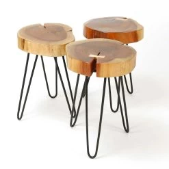 Bijzettafeltje Samantha - Acacia En Zwart Stalen Poten -Songmics Winkel 2320 15 2 9302