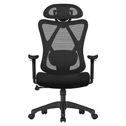 Songmics Bureaustoel, 152kg, Ergonomische Mesh Stoel Met Lendensteun En Hoofdsteun -Songmics Winkel 41DwfrhX7AL. SL500 737f