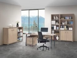 Ladeblok Op Wielen Acila 50x55x50cm, 2 Lades - Eik Decor -Songmics Winkel Access Sfeer1 f117