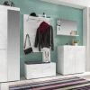 Garderobeset Amanda | Paneel, Spiegel, Opberg-, Schoenen- En Kolomkast | High Glossy White -Songmics Winkel Amanda GD 1393 913 01 dynamisch mit Deko f78e
