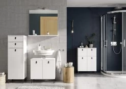 Badkamerkastje Tucker 39cm Met 2 Lades & Deur - Wit -Songmics Winkel GW Tulsa 84 pe dek a 5223