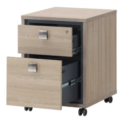 Ladeblok Op Wielen Acila 50x55x64cm, 2 Lades - Eik Decor -Songmics Winkel Ontwerp zonder titel 17 c82b