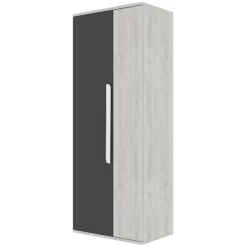 Kledingkast Bo0 Met 2 Legplanken, Kledingroede En Langwerpige Deurgreep - Grenen/antraciet