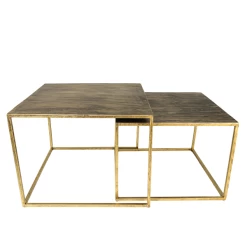 Salontafel Fletcher Set Van 2 Metaal - Antiek Goud