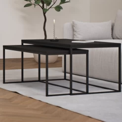 Set Van 2 Salontafels Trend-zwart Essenhout