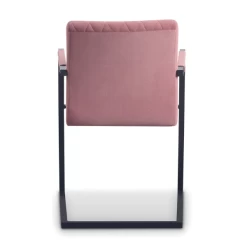 Eetkamerstoel Britt-roze Velours -Songmics Winkel Ontwerp zonder titel 2023 01 12T105303.276 440c