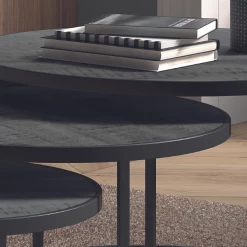 Set Van 3 Salontafels Amana-zwart Magnoliahout -Songmics Winkel Ontwerp zonder titel 2023 01 13T131036.965 d230