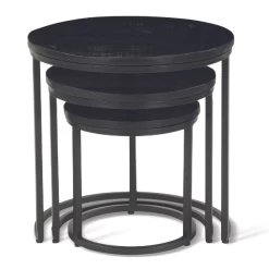 Set Van 3 Salontafels Amana Ø 45 Cm-zwart Magnoliahout -Songmics Winkel Ontwerp zonder titel 2023 01 18T084600.479 6c8c