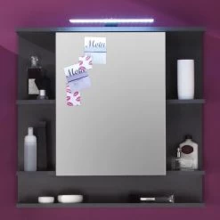 Spiegelkast Tetis | 72 X 20 X 76 Cm | Grafietkleur