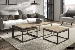 Set Van 3 Salontafels Jenna Industrieel - Oude Eik -Songmics Winkel Rousseau 3055 4 salontafel table basse Hamilton 1 2f37